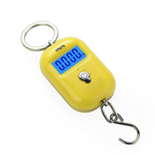 Load image into Gallery viewer, New 25Kg x 5g Digital Hanging Scale Mini Electronic Luggage Hook Scale LCD Backlight Kitchen Steelyard
